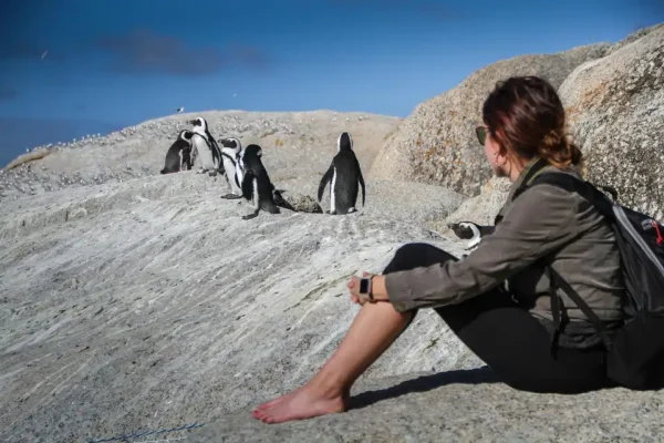 6 Days Cape Town, South Africa – Table Mountain, Wine Lands & Coastal Drives