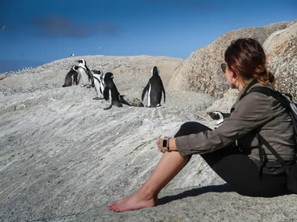 6 Days Cape Town, South Africa – Table Mountain, Wine Lands & Coastal Drives