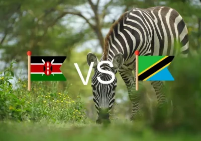 Kenya vs Tanzania Safari: Which One Should You Choose?